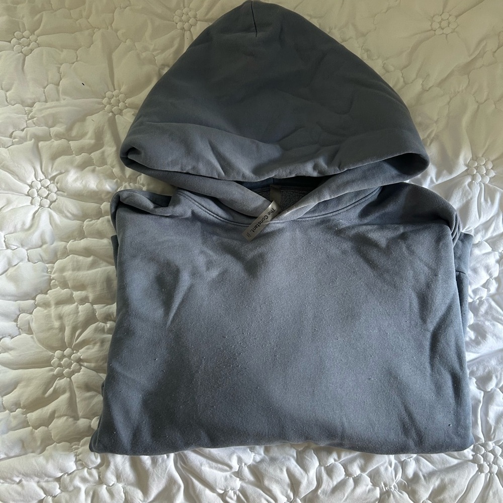 Aritzia Hoodie